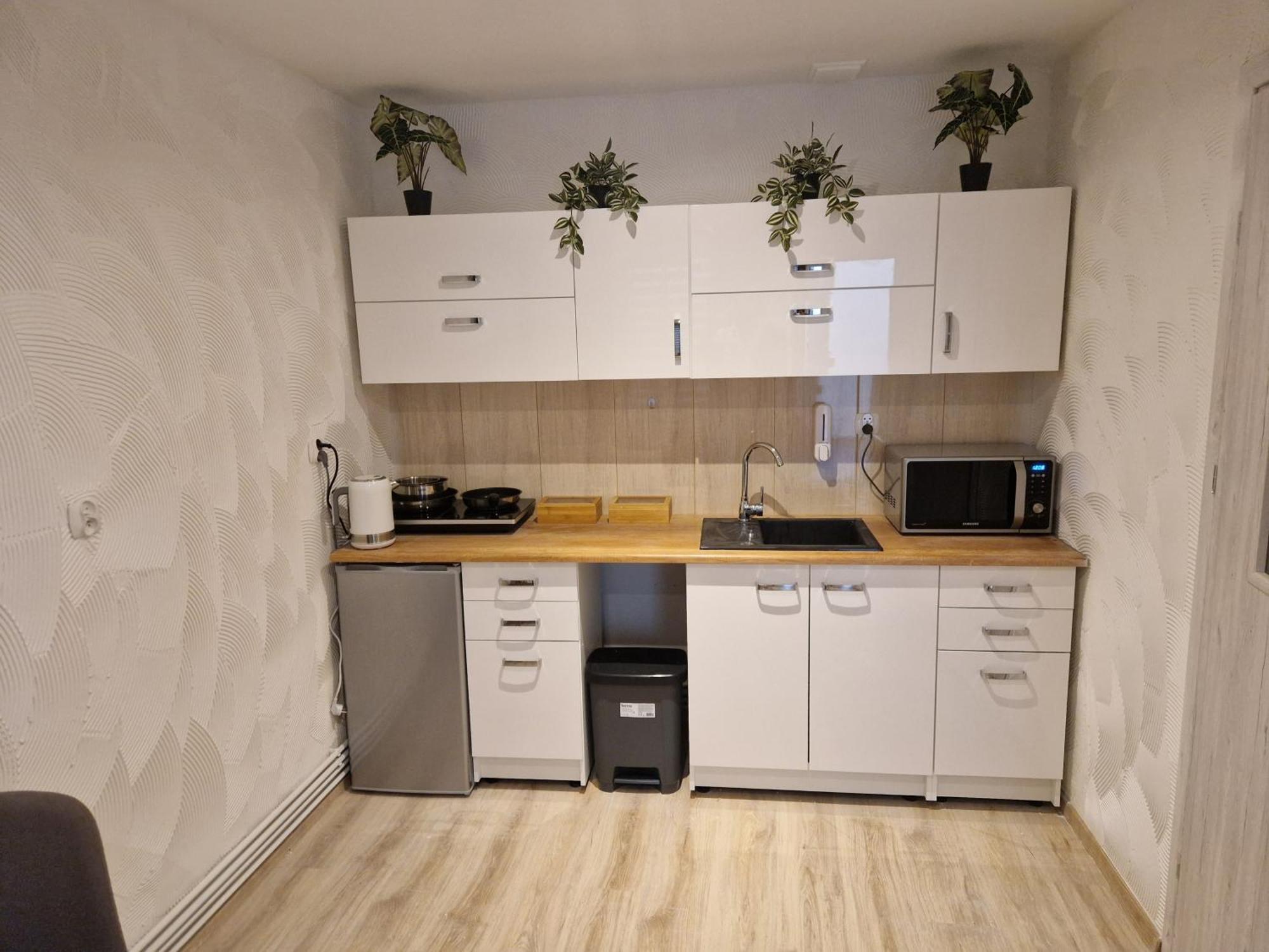 Apartament Baza Перемишль Екстер'єр фото